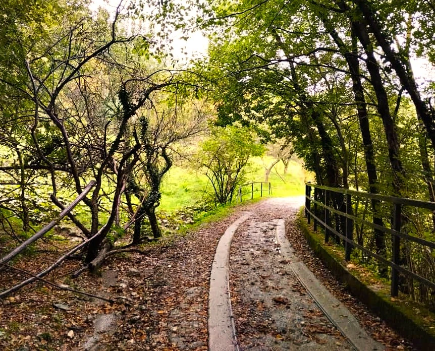 autunno benessere genova